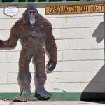 Sasquatch Outpost