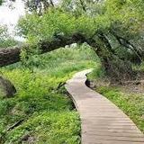 Lebanon Hills Regional Park