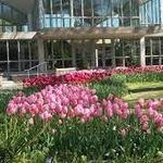 Memphis Botanic Garden