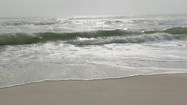 The Wedding Website of Kassie Patterson and Michael Caponi