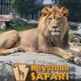 Keystone Safari