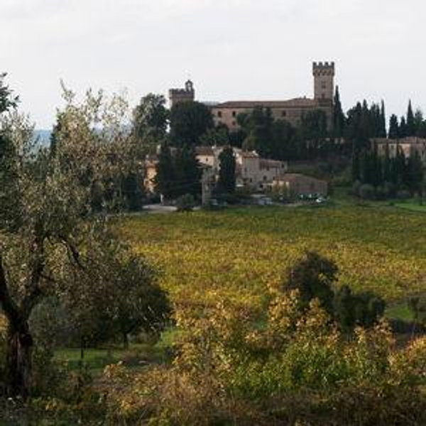 Honeymoon Fund: Chianti Vespa Tour