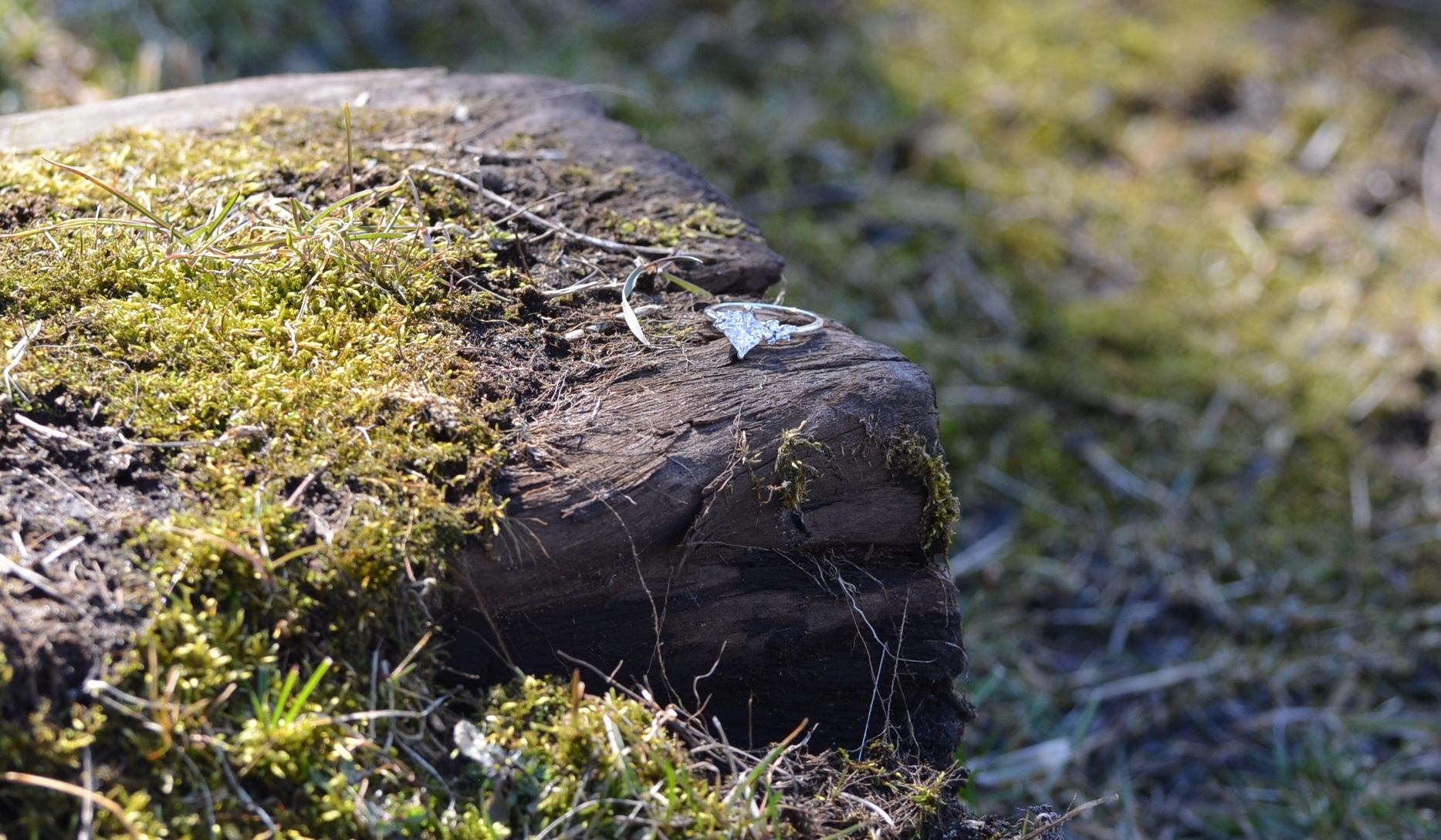 The Wedding Website of Kalley Humphrey and Joey Wachtler