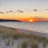 Lambert's Cove Beach