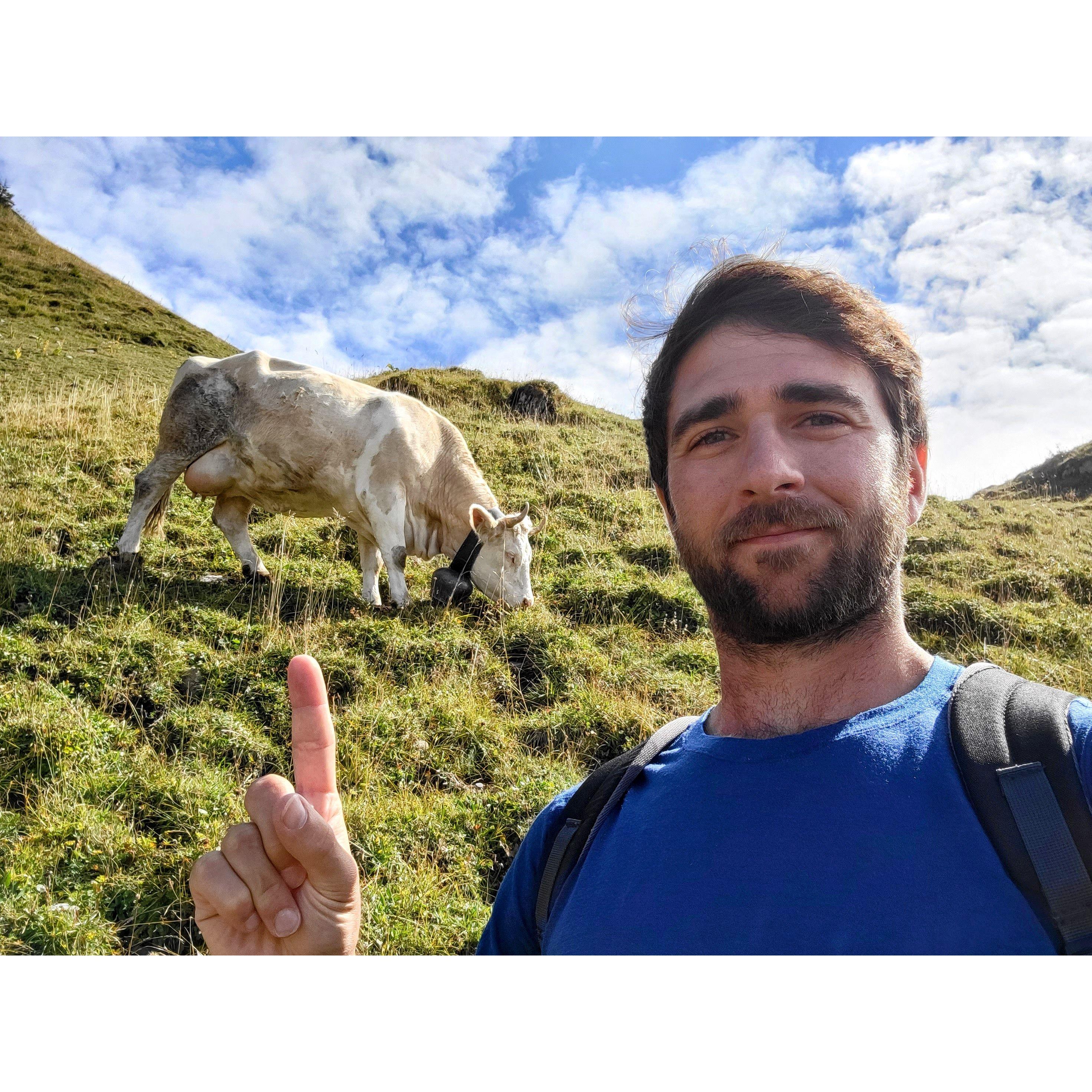 Mitch finds a roaming Swiss cow atop Schynige Platte, Switzerland in 2022