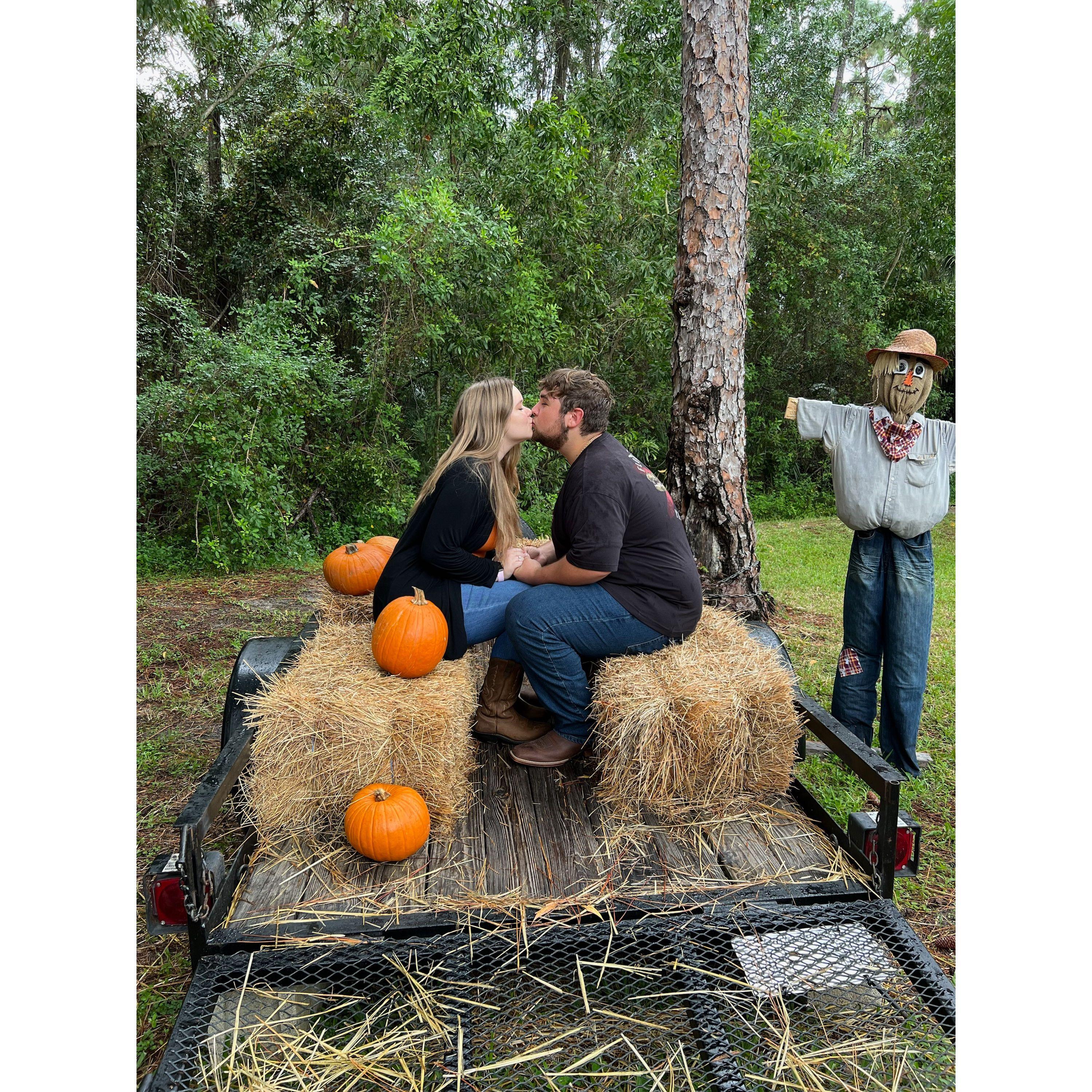 Another pumpkin patch!