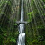 Multnomah Falls Lodge