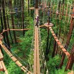 Redwood Canopy Tour