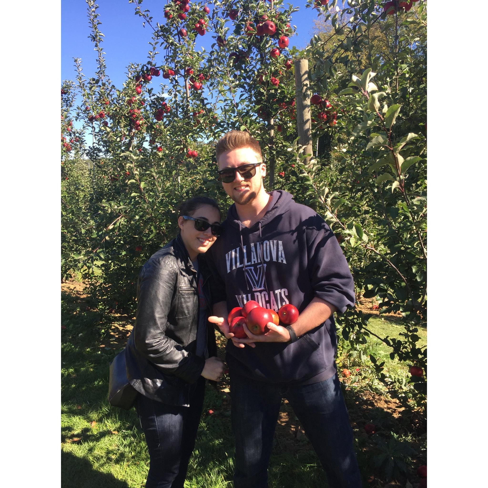 Apple picking in the fall
