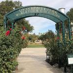 University Park World Peace Rose Garden