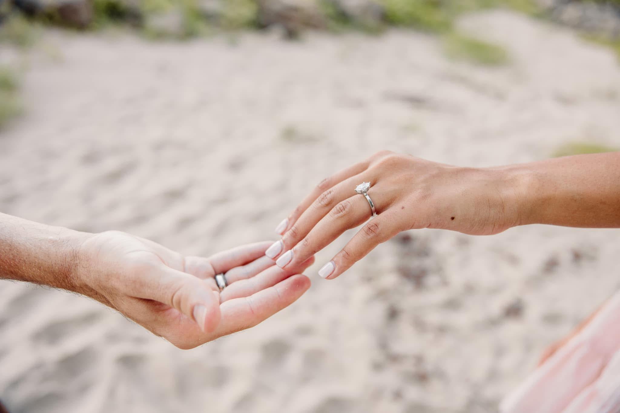 The Wedding Website of Bryn Elainelee Ferguson and Kyle Alonzo Losch