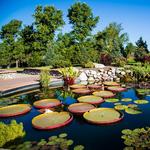 Denver Botanic Gardens