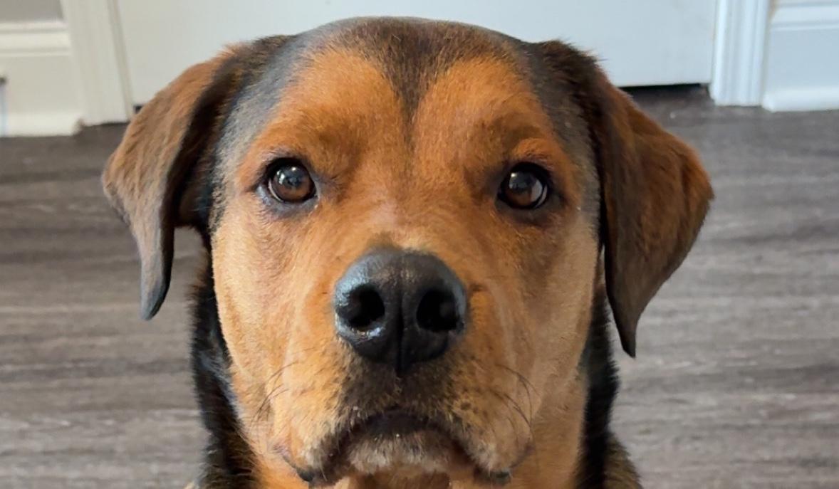 2be24bea-8b58-49fd-a5ae-8207589ba68b