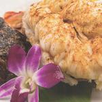 Bull Shed Restaurant