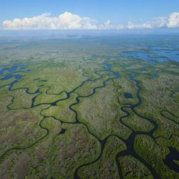Friends of the Everglades