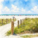 Siesta Key Beach