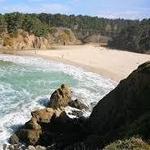 Jug Handle State Natural Reserve