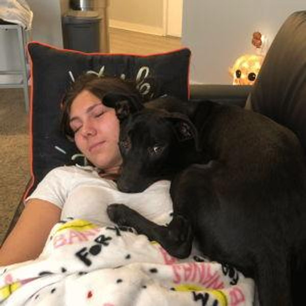 Pet Hotel During Our Honeymoon (Boarding)