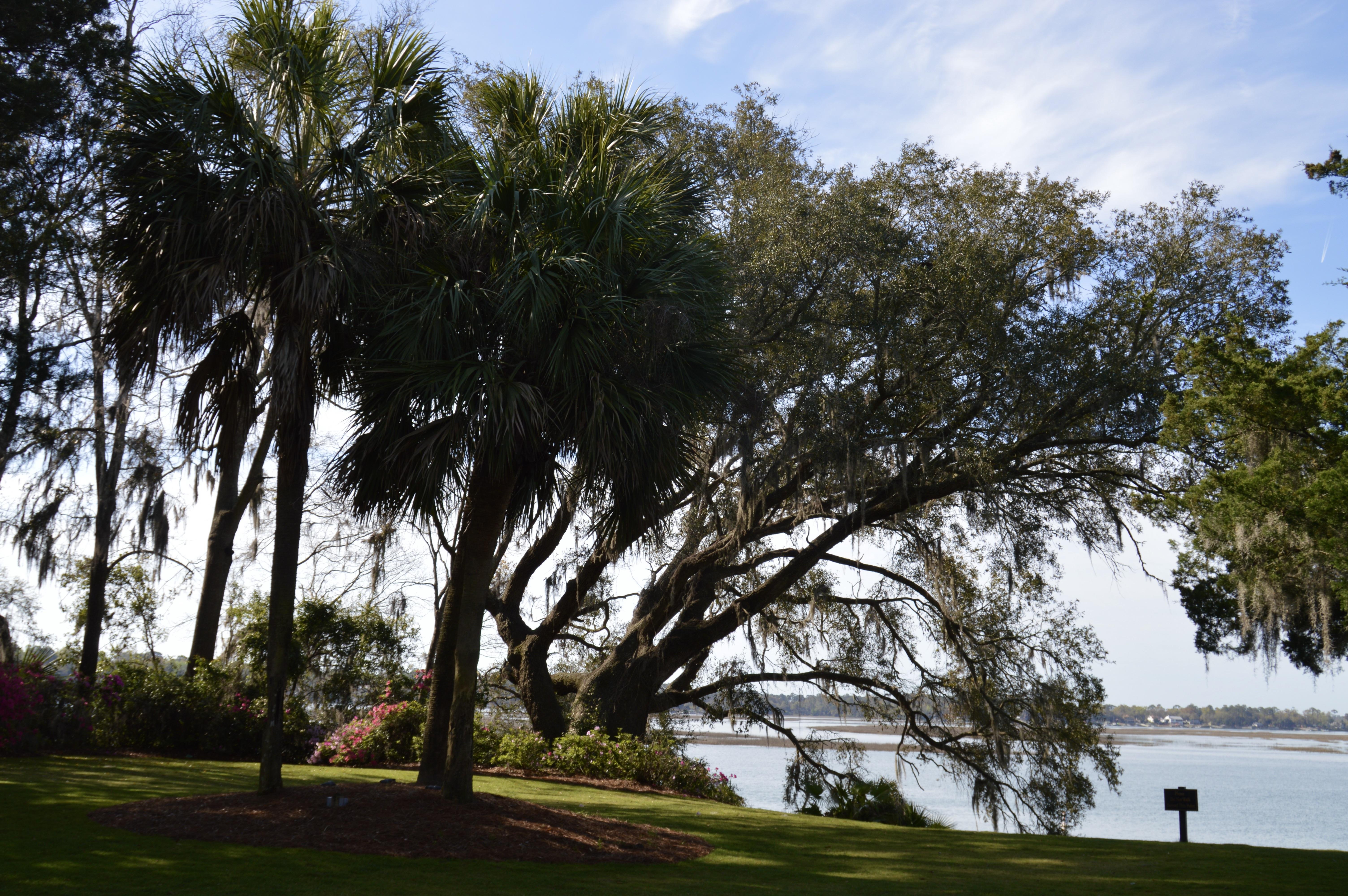 The Wedding Website of Allison Claire Staback and Kevin Edward Hughes