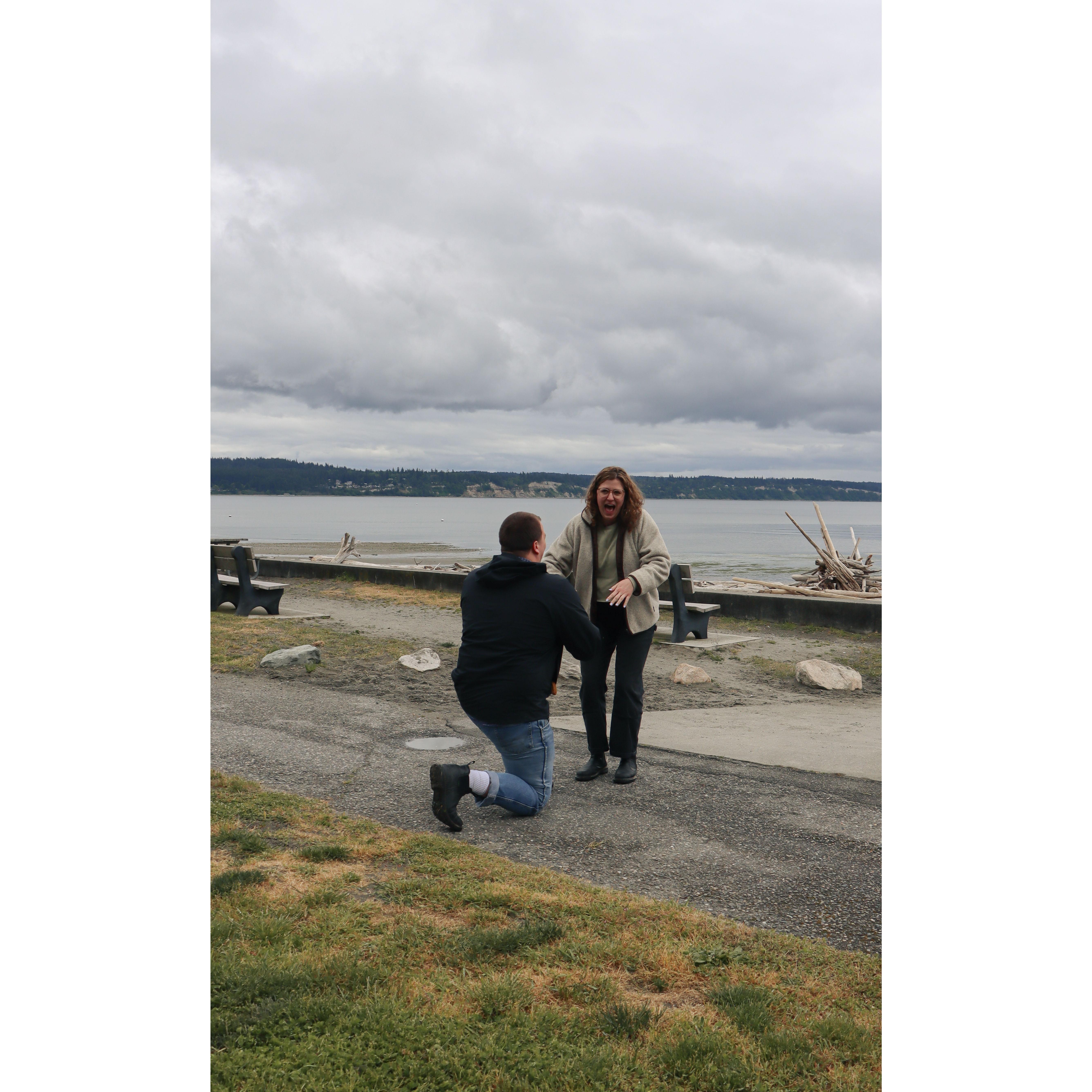 May 18th 2024! Duke proposed to Bayley surrounded by family and friends at our favorite beach, Double Bluff Beach on Whidbey Island.