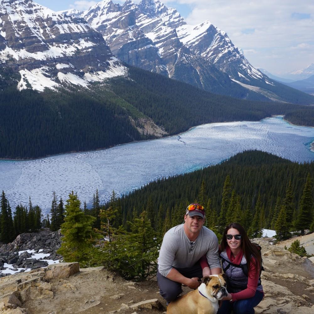 peyto lake