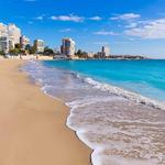 Beaches