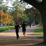 Memorial Park