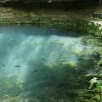 Meramec Spring Trout Hatchery