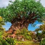 Animal Kingdom