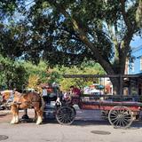 City Market