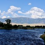 Fish on the river