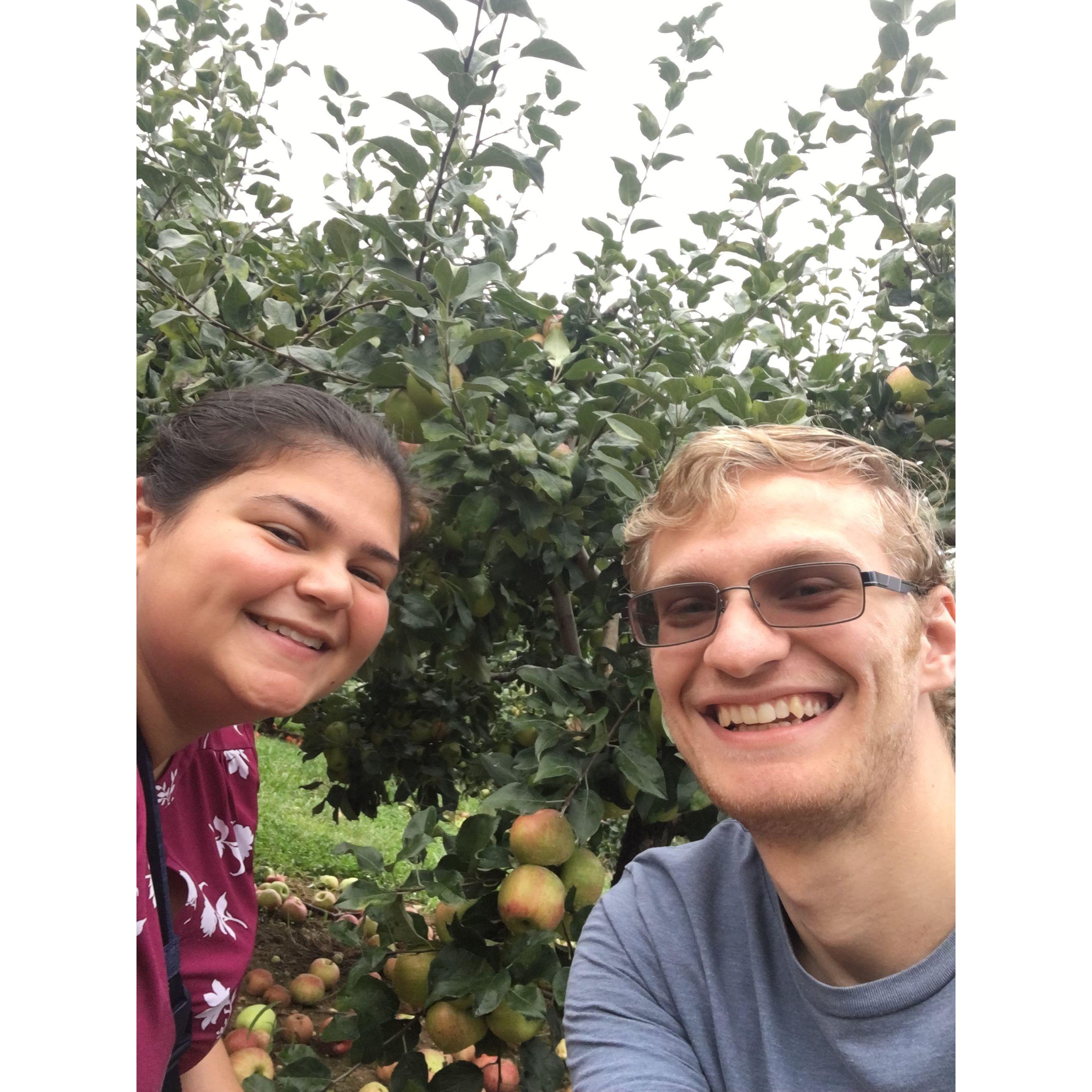 Apple Picking!