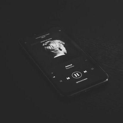 Spotify for a Year