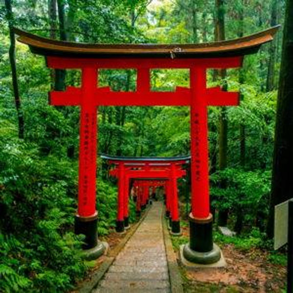 Honeymoon Stay - Kyoto