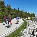 Rent a bike or take a bike tour from various places