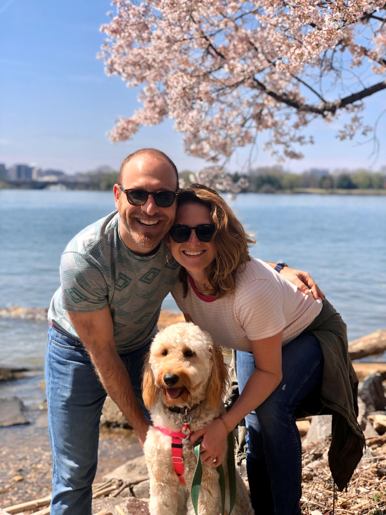 Cherry Blossoms are even better when you have a pup to star in your photoshoot.