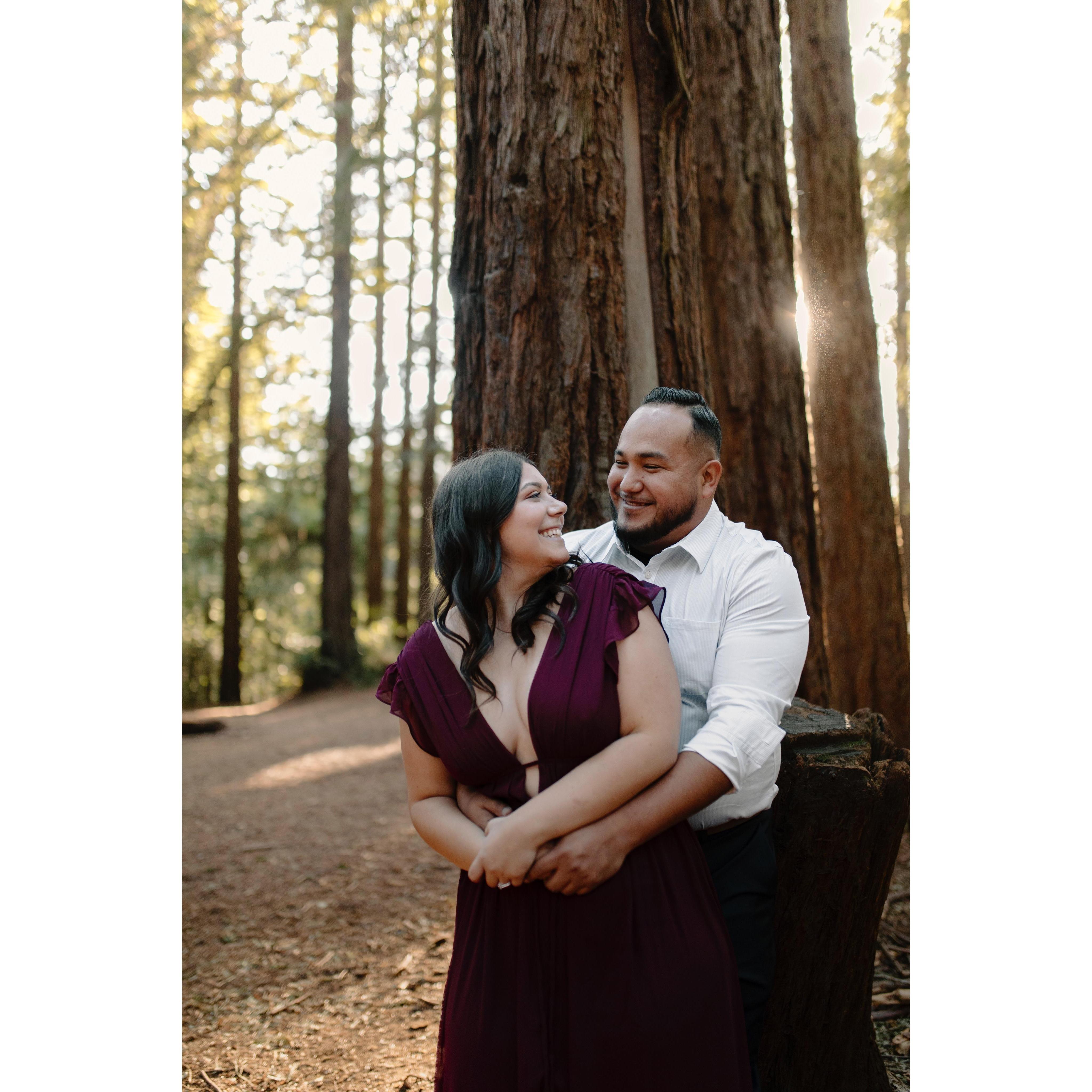fall photos