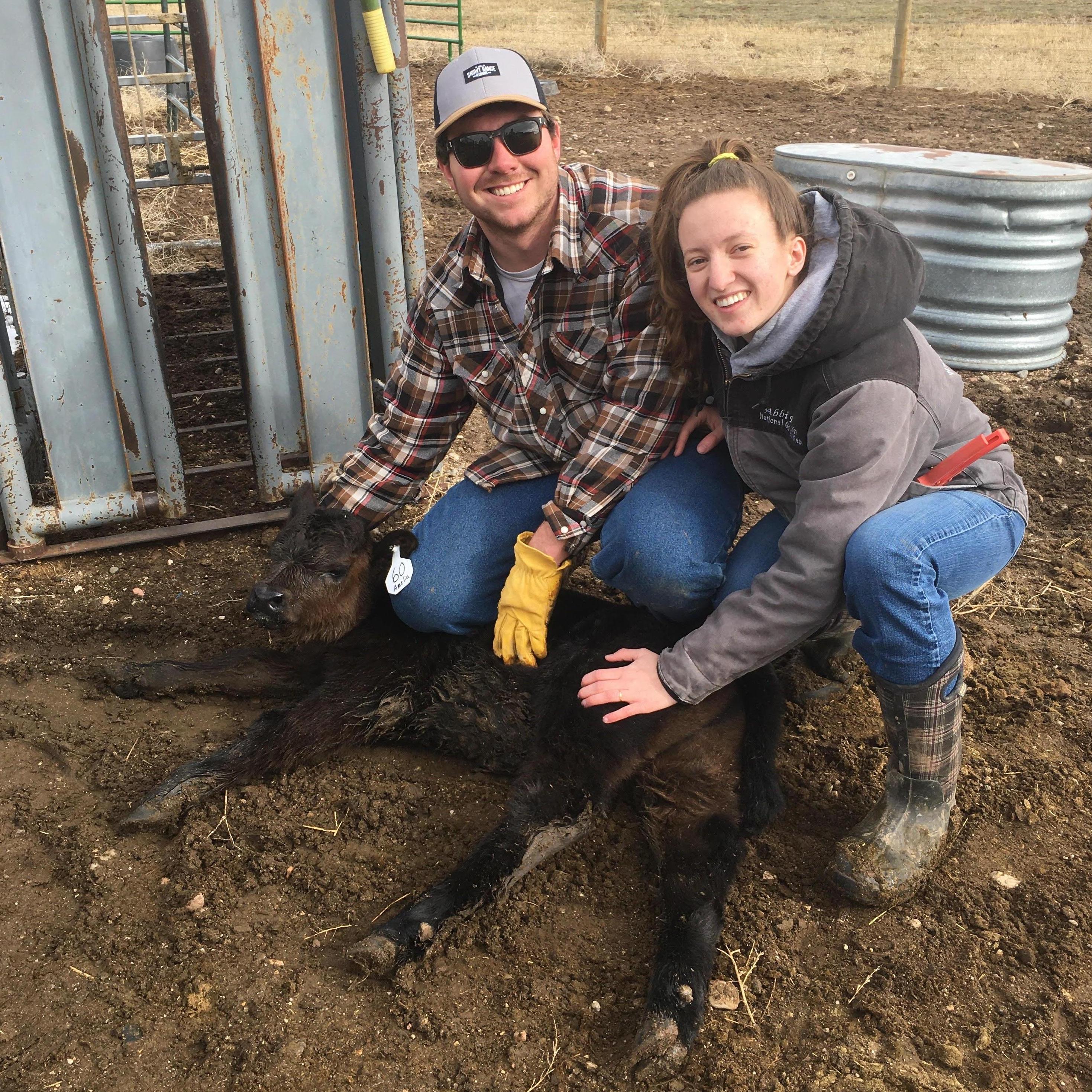 This year's calves are named after aviation. Meet Amelia!
