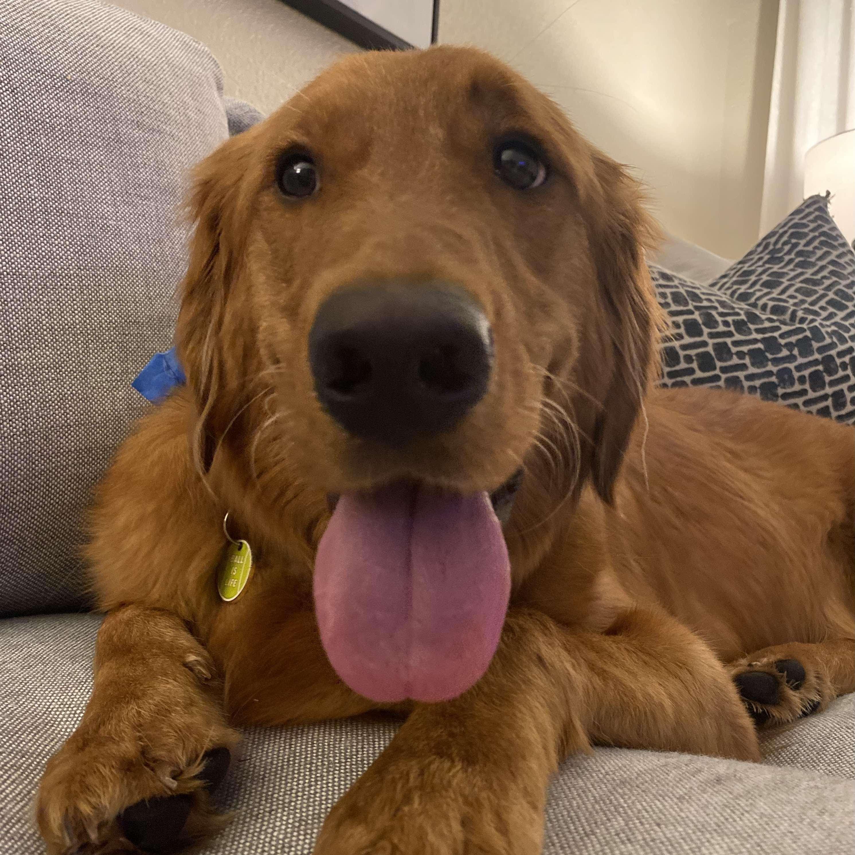 Our cute baby boy, Bentlee