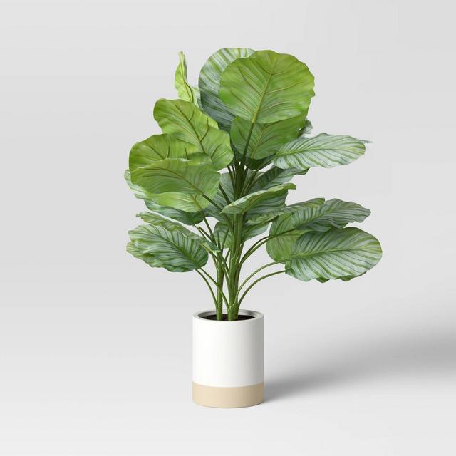 Large Verigated Plant - Threshold™