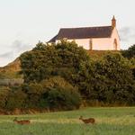 Tumulus Saint-Michel