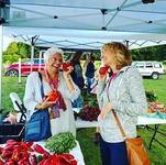 Washington Island Farmers' Market