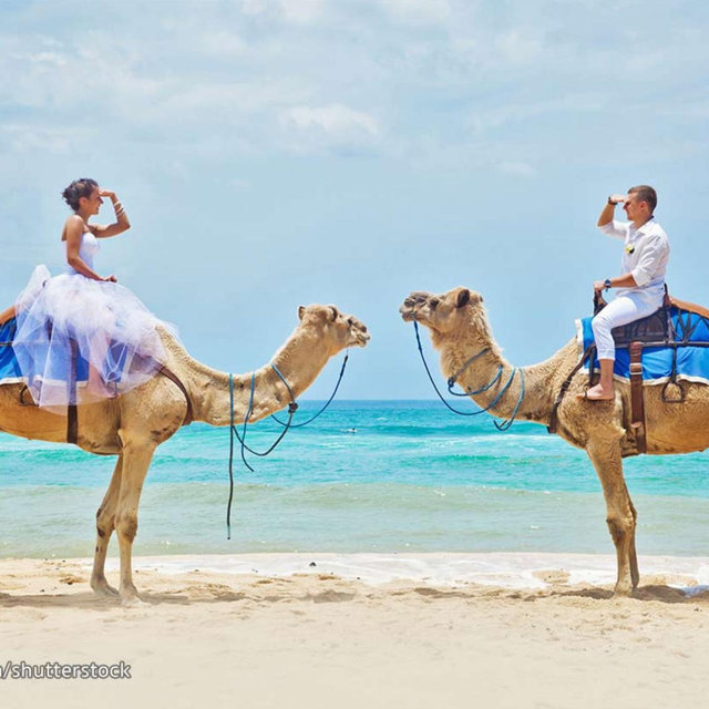 Honeymoon Excursion