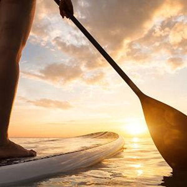 Paddle Boards
