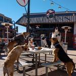 Bar & Food Trucks - 11th Street Station