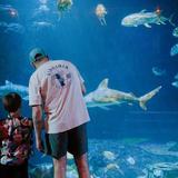 Virginia Aquarium & Marine Science Center