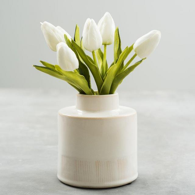 Tulip Bundle