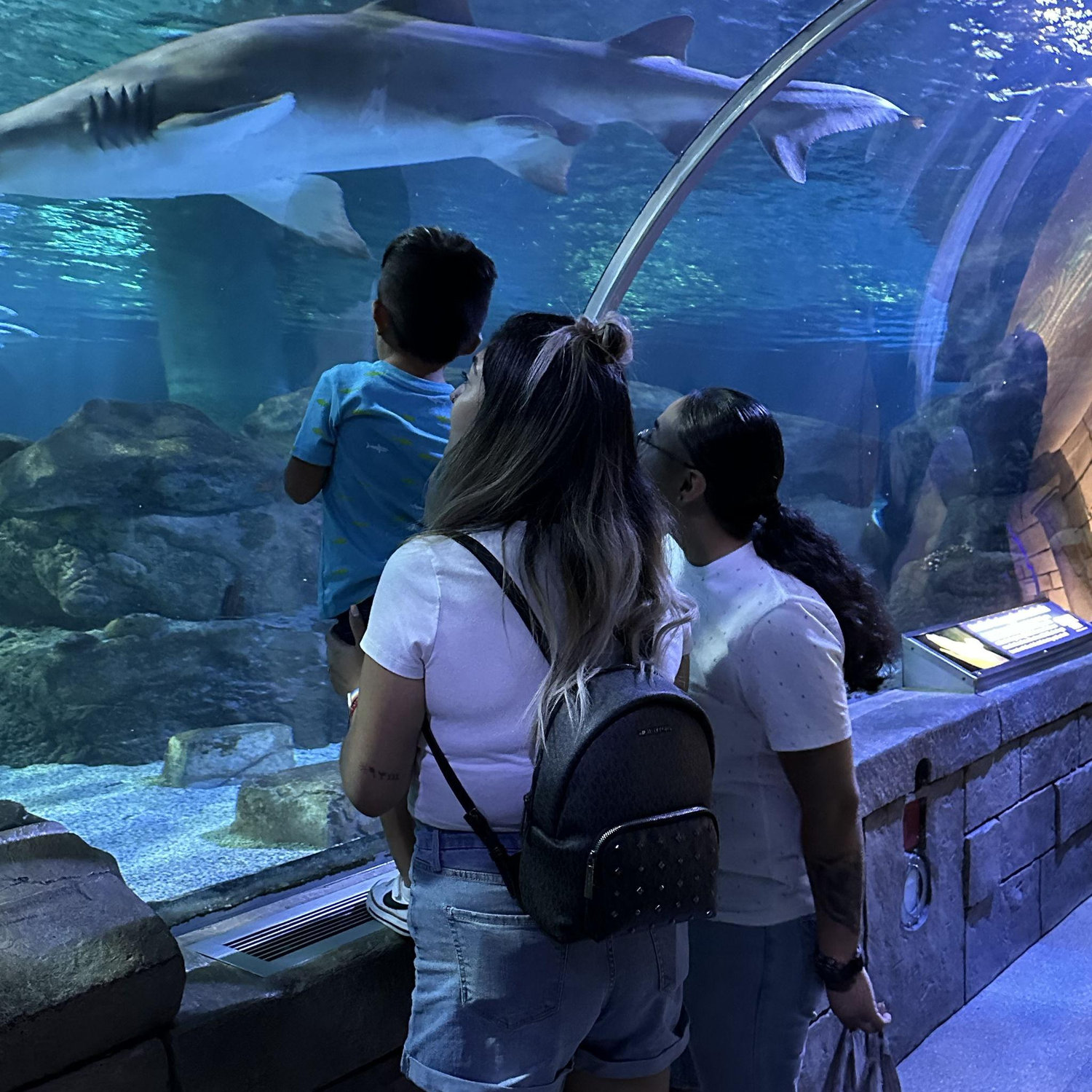 First family trip to Mall of America -July 2022