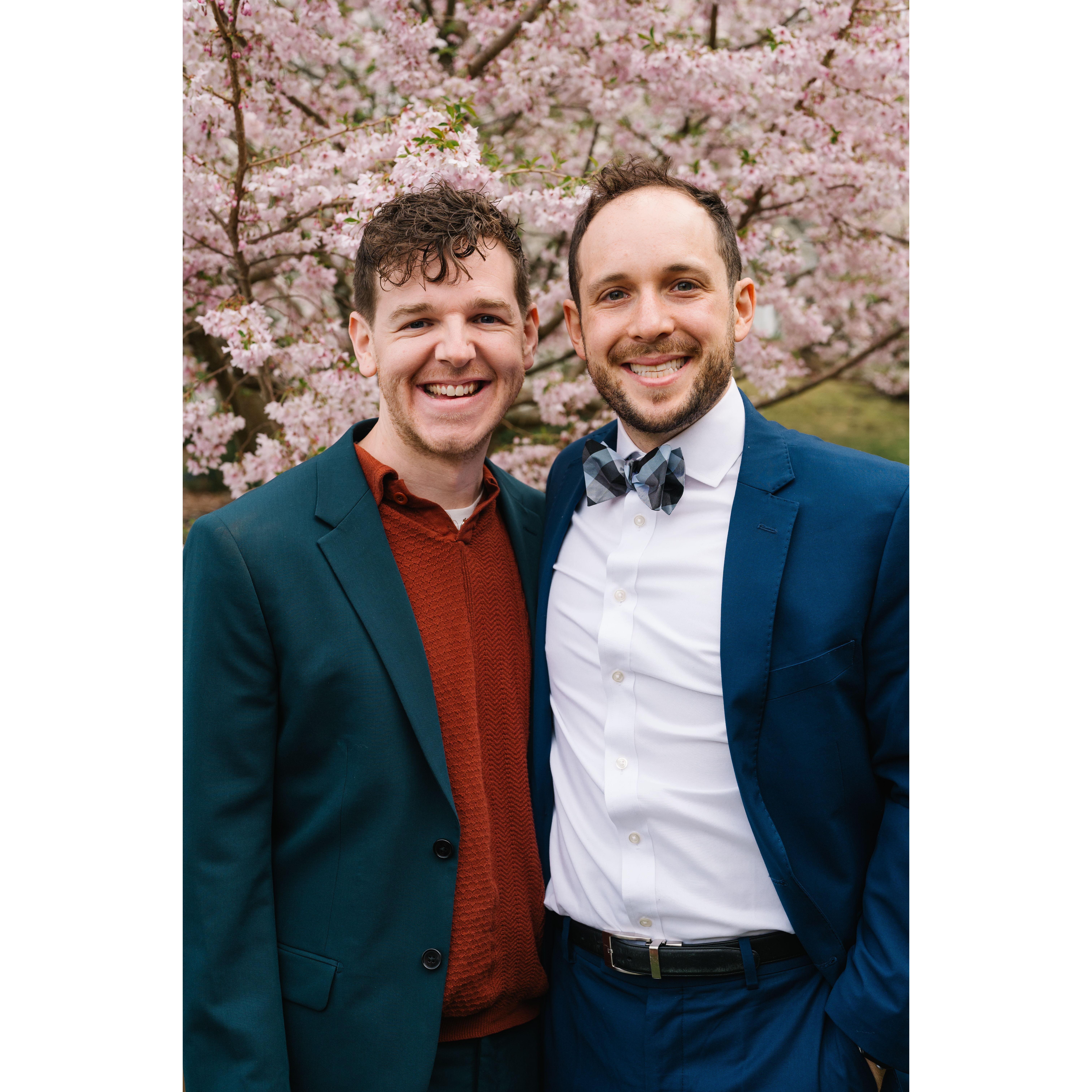 April 2024 - Boston - A flowering tree is always a good back drop.