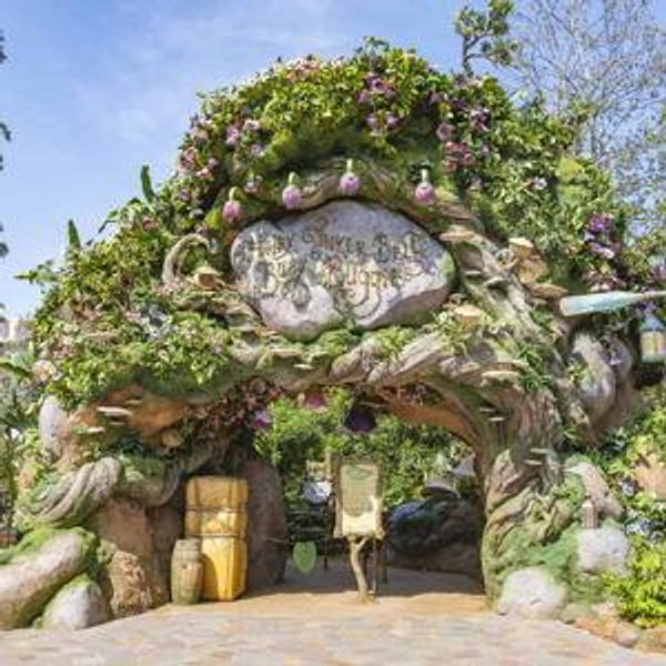 Tokyo Disney Tickets